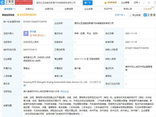 比亚迪贵阳新公司布局多元业务，涉足保险经纪与网约车服务